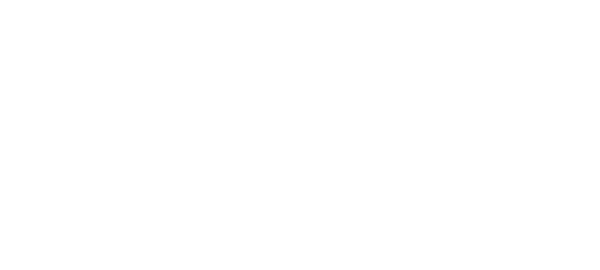 Logo SAYLU